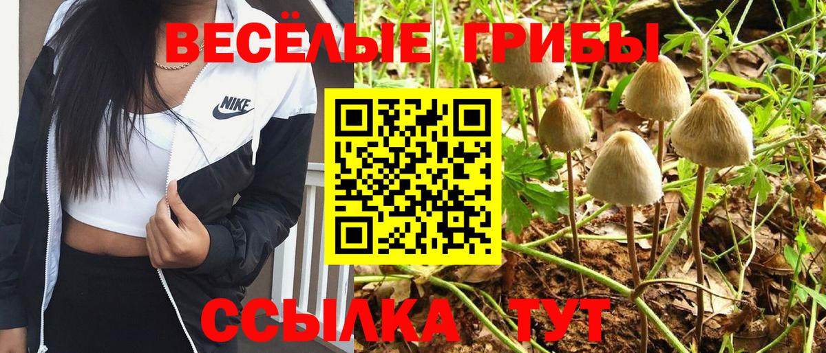 Галлюциногенные грибы MAGIC MUSHROOMS  Псилоцибиновые грибы мицелий  Красноярск  Вход с VPN 
