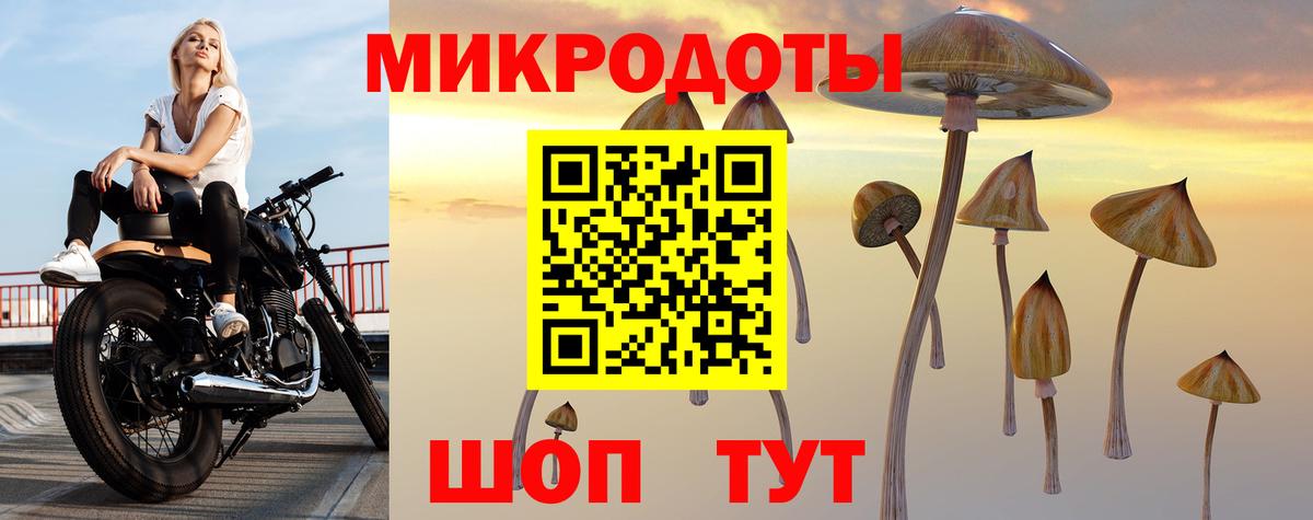 Псилоцибиновые грибы прущие грибы Красноярск